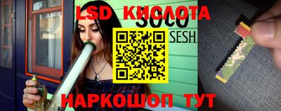 гидра Краснокаменск