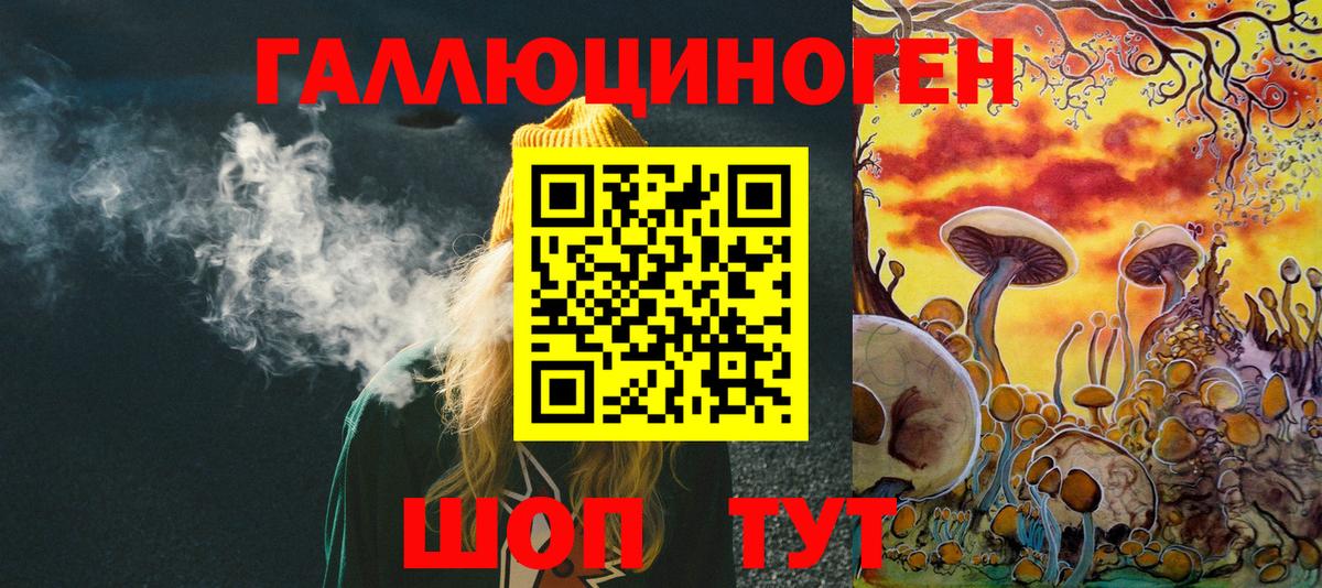 Галлюциногенные грибы Psilocybe  Вход с VPN  купить закладку  Конаково 
